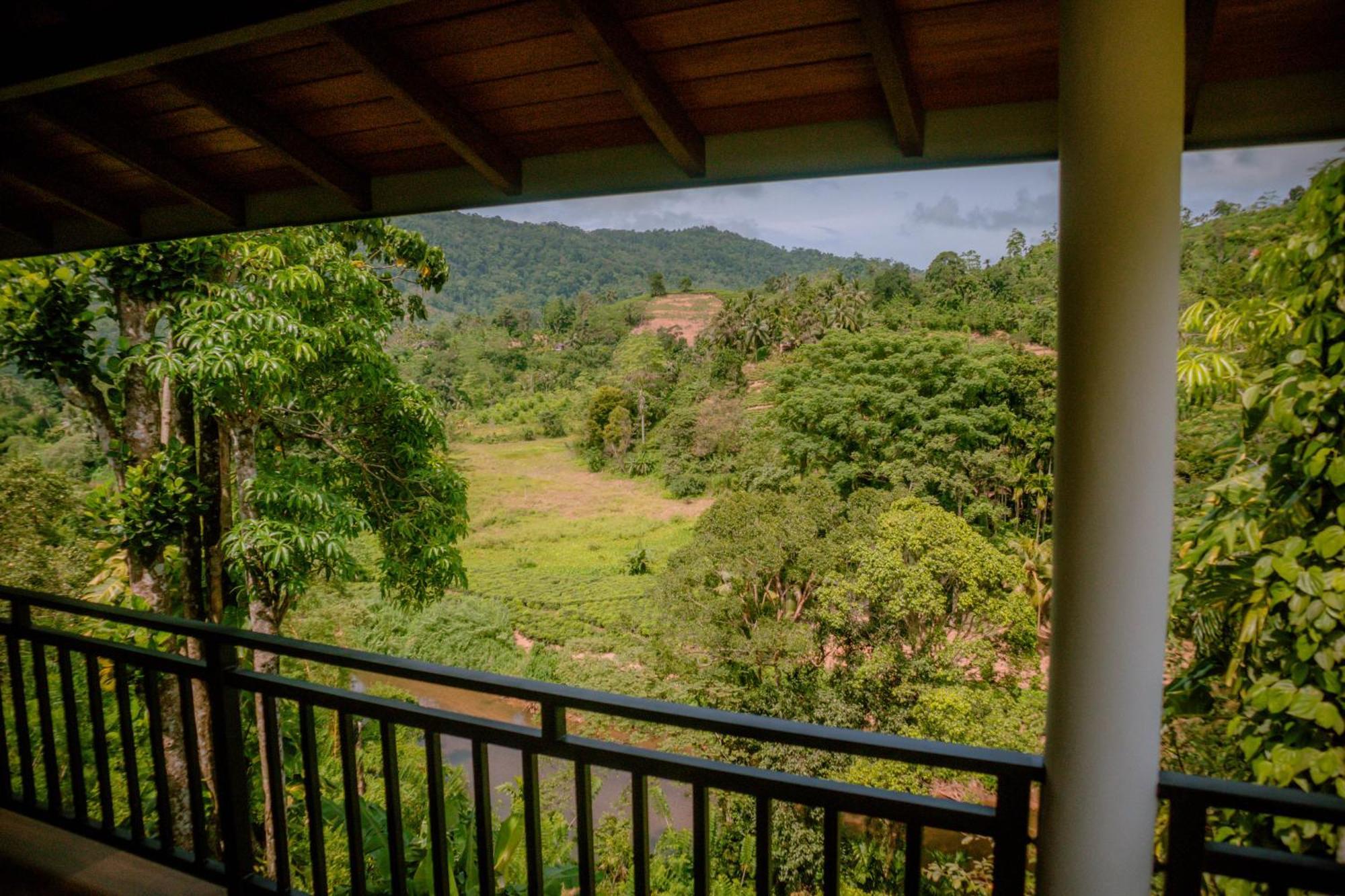 Evergreen Villa - Sinharaja Денияйя Экстерьер фото