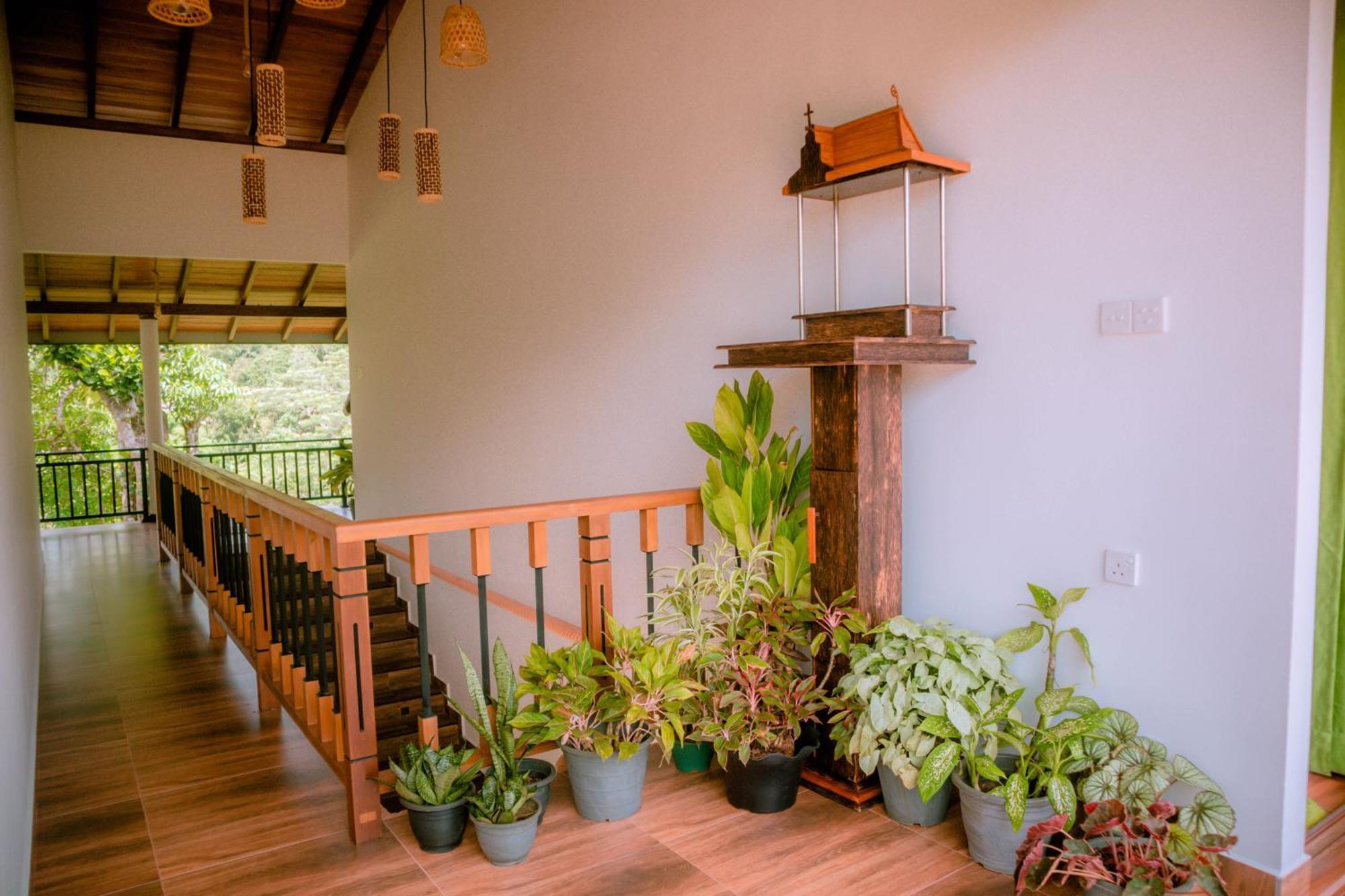 Evergreen Villa - Sinharaja Денияйя Экстерьер фото