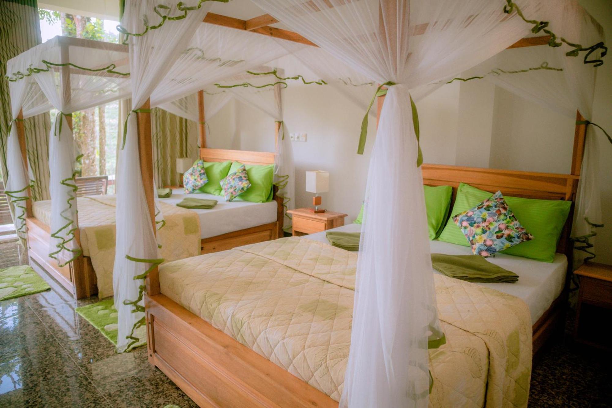 Evergreen Villa - Sinharaja Денияйя Экстерьер фото