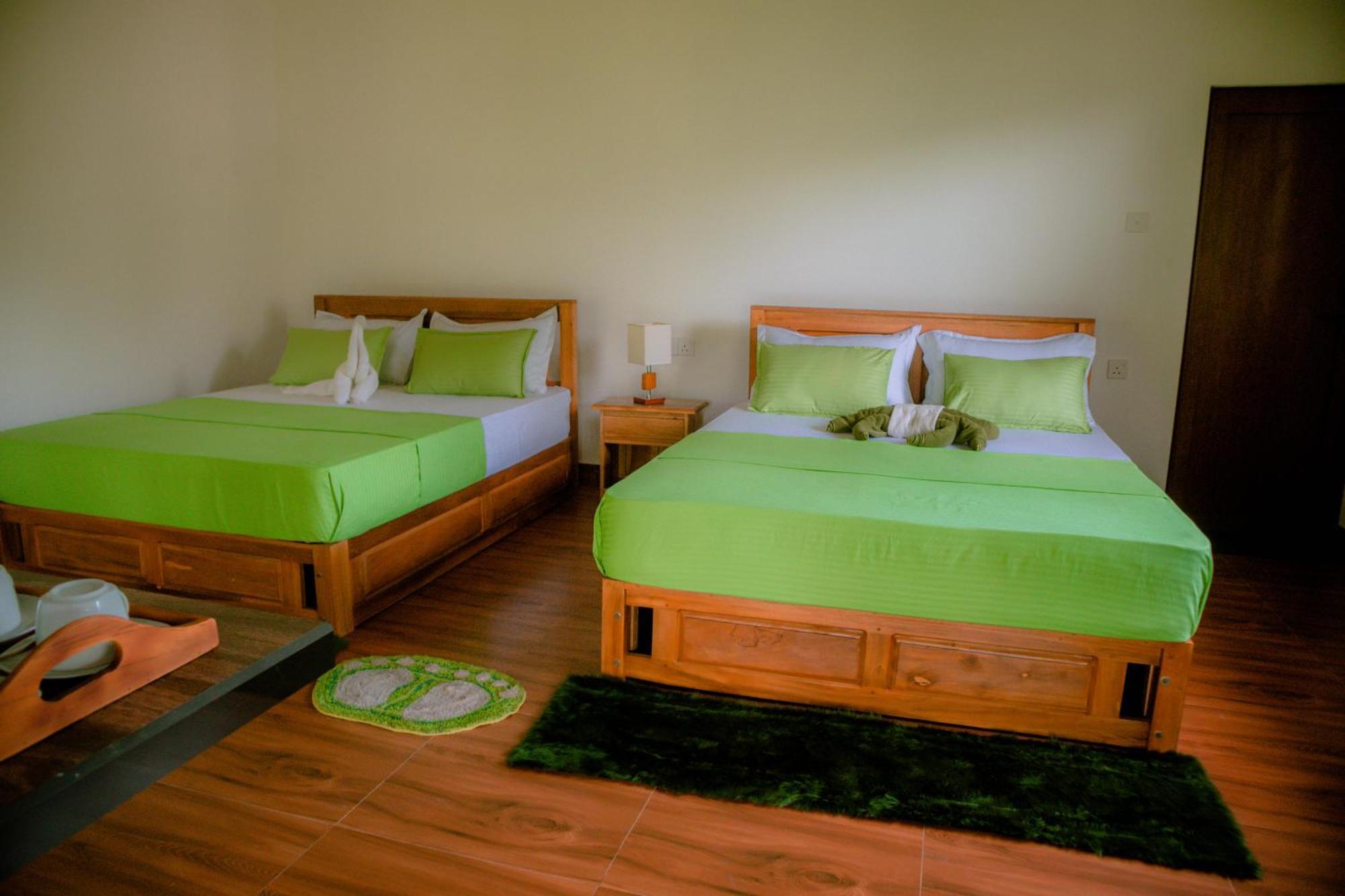 Evergreen Villa - Sinharaja Денияйя Экстерьер фото