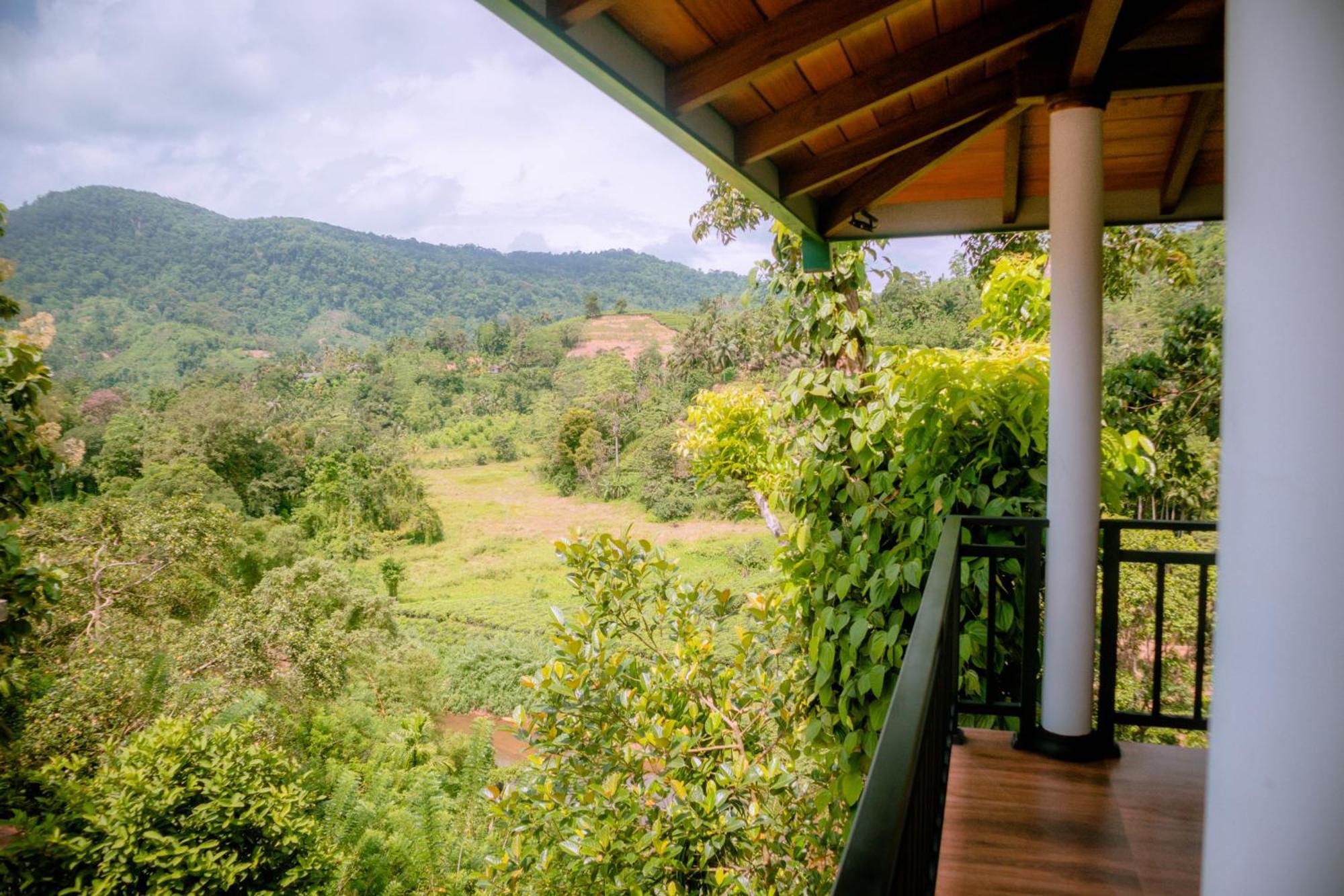Evergreen Villa - Sinharaja Денияйя Экстерьер фото